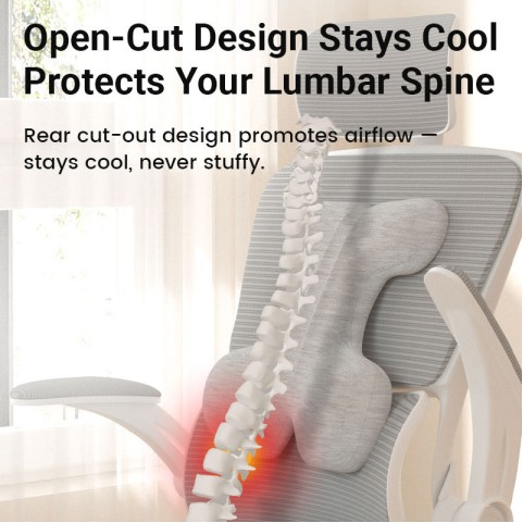 Type I Foam Lumbar Cushion
